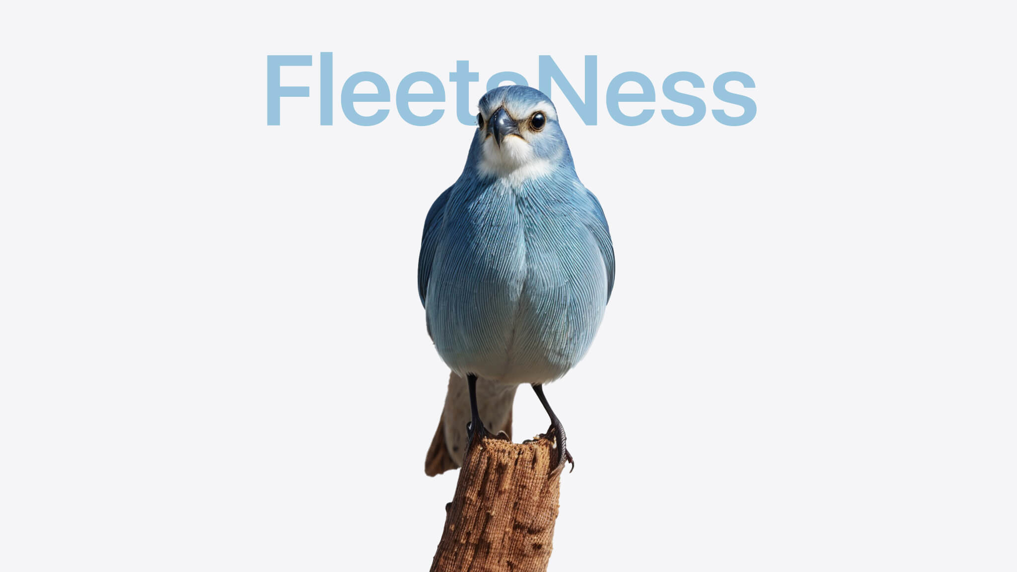 FleetsNess tweak cover. Copyright © 2024 Yigitcan Gencdal | aka curlyNull.